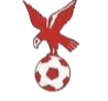 https://img.dahonglian.com/img/football/team/4802d26df935b78bb2fcdbbff36e8864.png