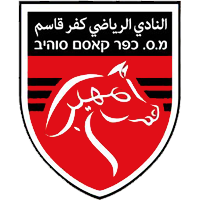 https://img.dahonglian.com/img/football/team/6ab1782364049d6313678f74a706d246.png